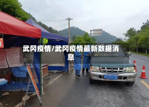 武冈疫情/武冈疫情最新数据消息