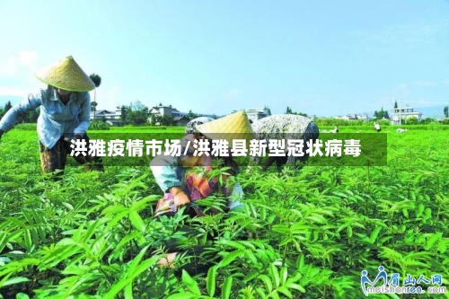 洪雅疫情市场/洪雅县新型冠状病毒