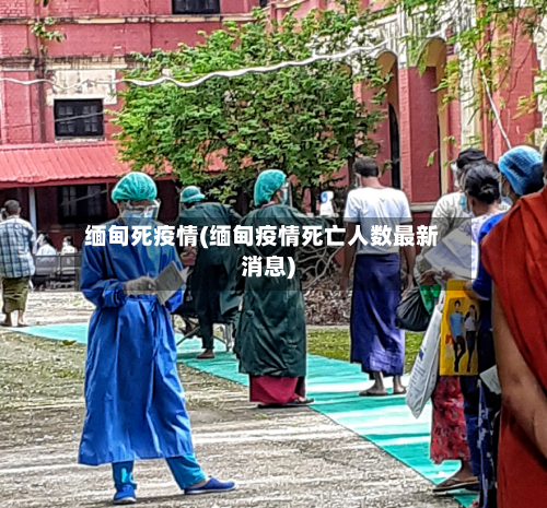 缅甸死疫情(缅甸疫情死亡人数最新消息)