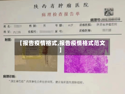 【报告疫情格式,报告疫情格式范文】