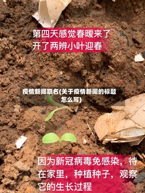 疫情新闻取名(关于疫情新闻的标题怎么写)