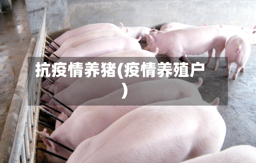 抗疫情养猪(疫情养殖户)