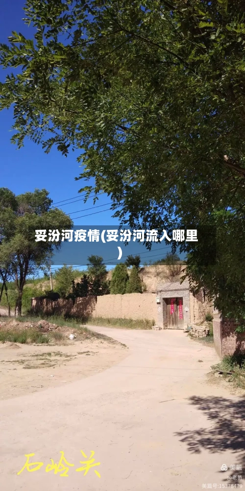妥汾河疫情(妥汾河流入哪里)