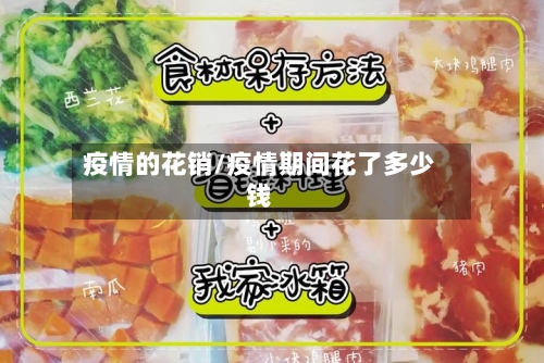 疫情的花销/疫情期间花了多少钱