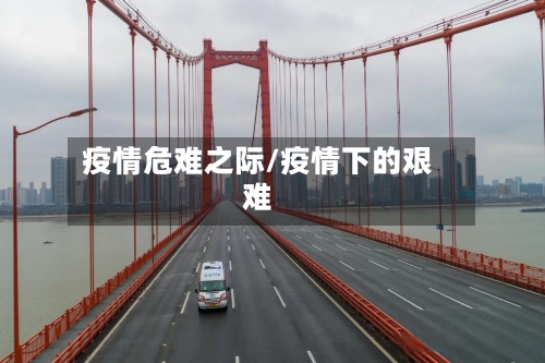 疫情危难之际/疫情下的艰难