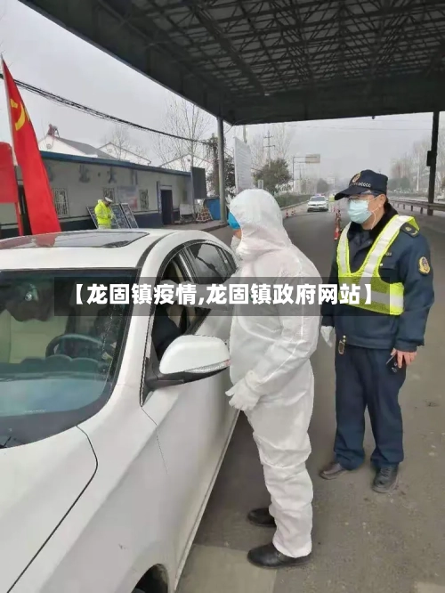 【龙固镇疫情,龙固镇政府网站】