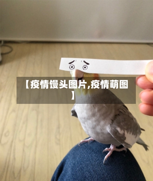 【疫情馒头图片,疫情萌图】