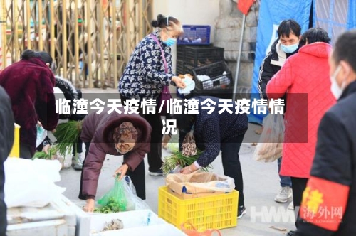 临潼今天疫情/临潼今天疫情情况
