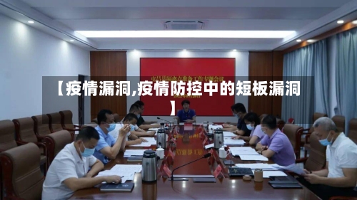 【疫情漏洞,疫情防控中的短板漏洞】