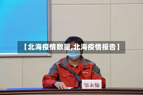 【北海疫情数量,北海疫情报告】