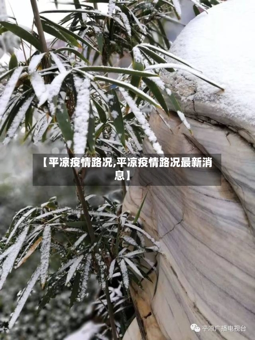 【平凉疫情路况,平凉疫情路况最新消息】