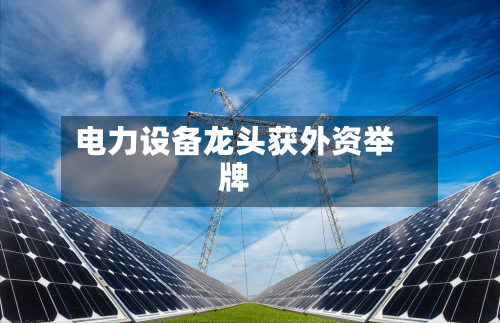 电力设备龙头获外资举牌
