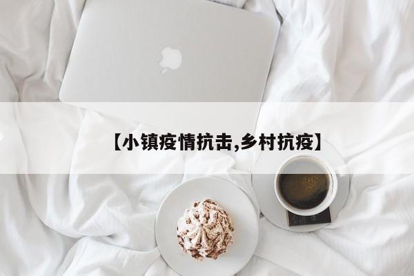 【小镇疫情抗击,乡村抗疫】