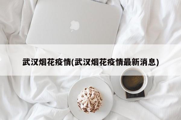 武汉烟花疫情(武汉烟花疫情最新消息)