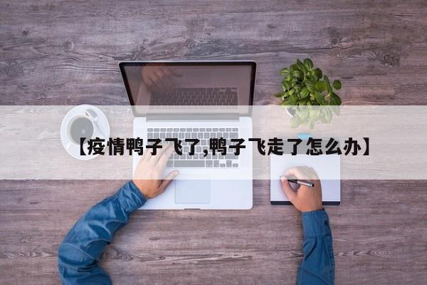 【疫情鸭子飞了,鸭子飞走了怎么办】